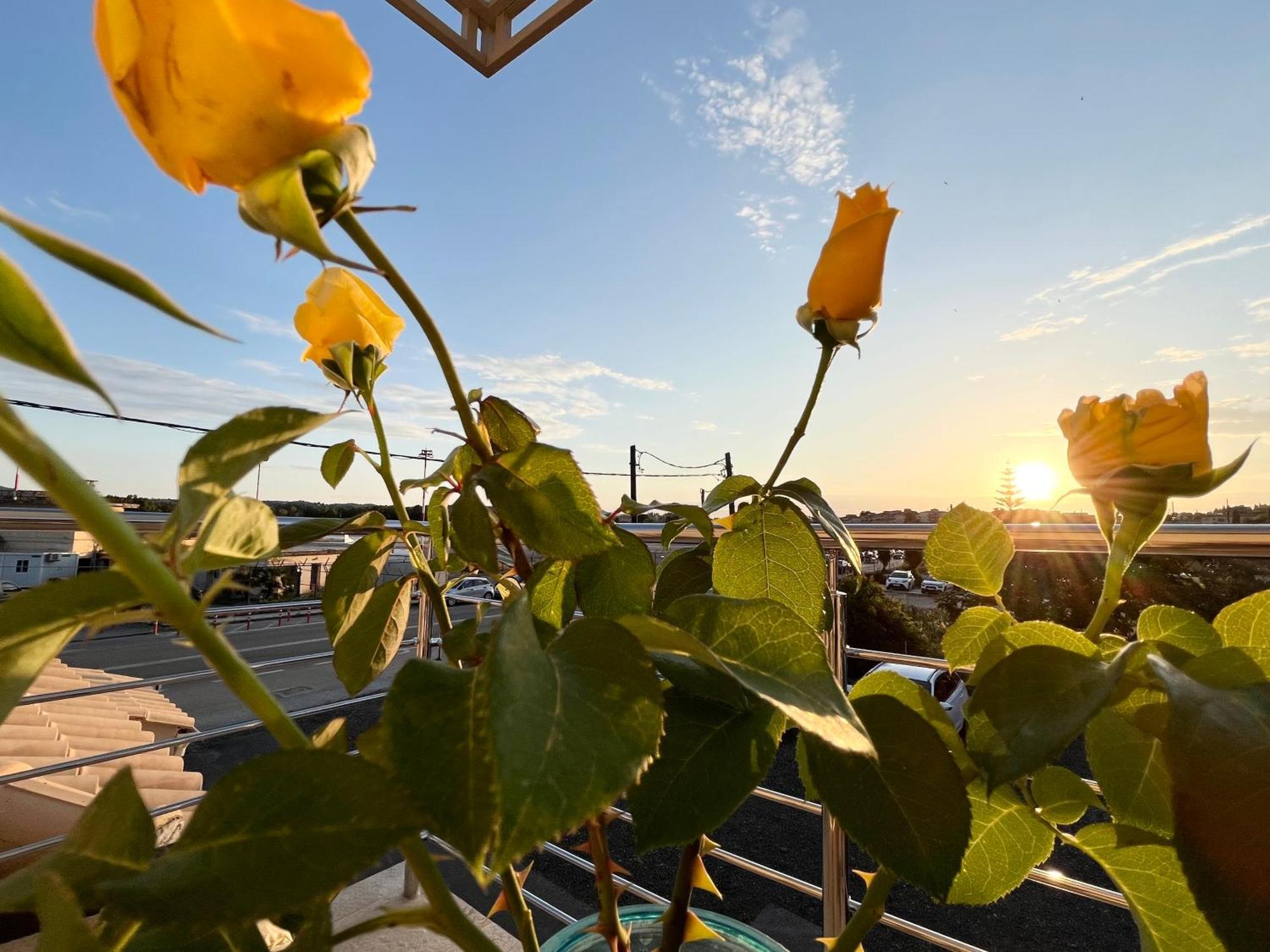 Corfu Airport Sweet Studio Zewnętrze zdjęcie
